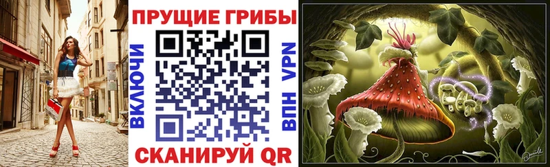 Галлюциногенные грибы Cubensis  Купить  Серафимович 