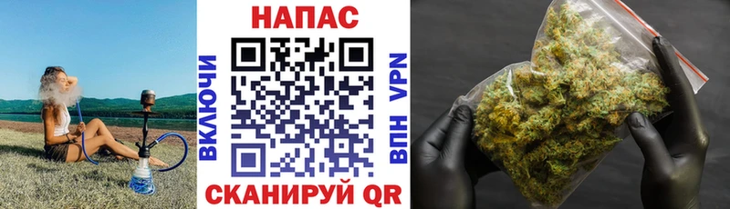 Купить закладки  Серафимович  МАРИХУАНА планчик 